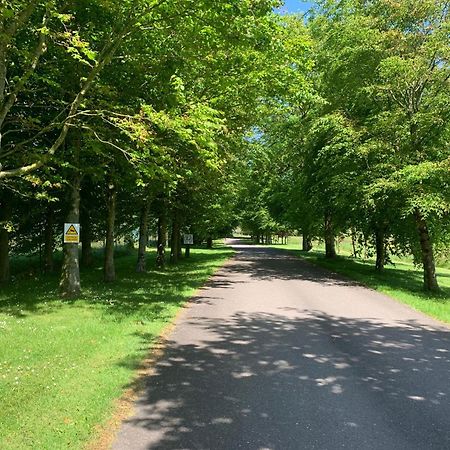Fernhill Lodge كاريقالين المظهر الخارجي الصورة